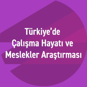 Türkiye Çalışma Hayatı ve Meslekler Araştırması