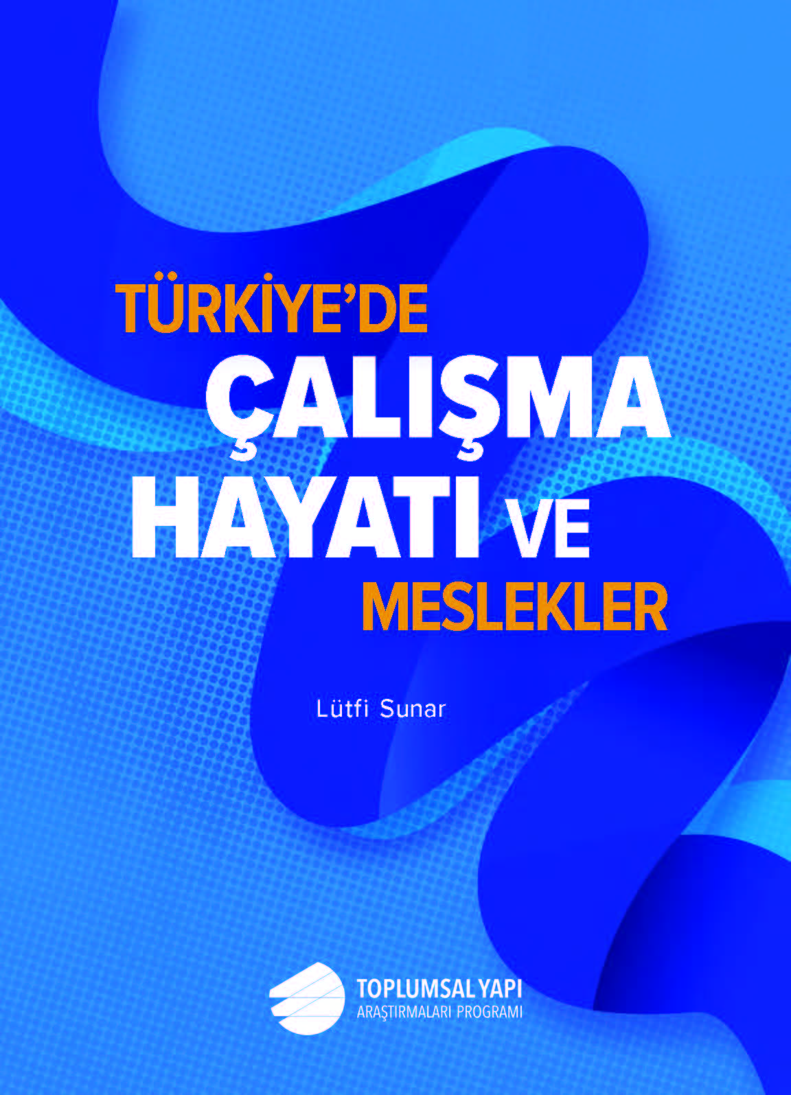 Türkiye Çalışma Hayatı ve Meslekler Araştırması